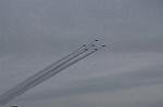 Dcim12823/DSC_2338