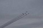 Dcim12823/DSC_2341