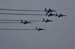 Dcim12823/DSC_2380
