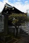 Dcim12827/DSC_7220