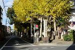 Dcim12828/DSC_7288