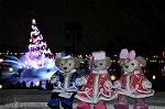 Dcim12830/DSC_2911