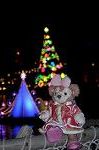Dcim12830/DSC_2953