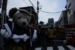 Dcim12837/DSC_8386
