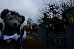 Dcim12837/DSC_8408