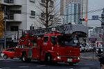 Dcim12837/DSC_8444