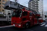 Dcim12837/DSC_8446