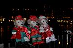 Dcim12839/DSC_3064