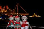Dcim12839/DSC_3072