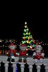Dcim12841/DSC_3217