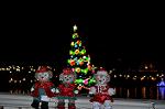 Dcim12841/DSC_3222