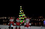 Dcim12841/DSC_3224