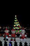 Dcim12841/DSC_3227