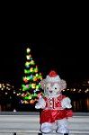 Dcim12841/DSC_3237
