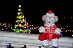Dcim12841/DSC_3242