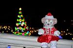 Dcim12841/DSC_3245