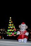 Dcim12841/DSC_3248
