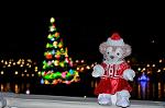 Dcim12841/DSC_3252