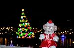 Dcim12841/DSC_3255
