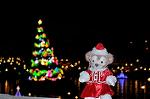 Dcim12841/DSC_3256
