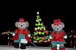 Dcim12841/DSC_3260