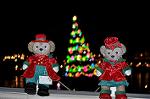 Dcim12841/DSC_3262