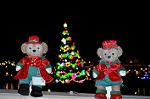 Dcim12841/DSC_3274