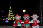 Dcim12841/DSC_3312