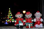Dcim12841/DSC_3319