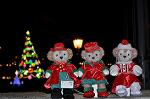 Dcim12841/DSC_3321