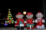 Dcim12841/DSC_3322