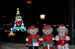 Dcim12841/DSC_3341