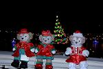 Dcim12849/DSC_9584