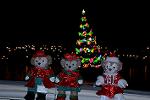 Dcim12849/DSC_9586