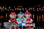 Dcim12852/DSC_3525