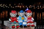 Dcim12852/DSC_3527
