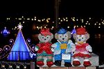 Dcim12852/DSC_3531