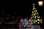 Dcim12852/DSC_3544
