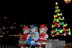 Dcim12852/DSC_3551