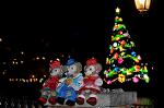 Dcim12852/DSC_3557