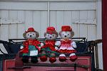 Dcim12855/DSC_0006