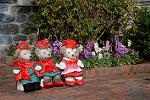 Dcim12855/DSC_0095