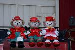 Dcim12856/DSC_0184