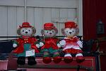 Dcim12856/DSC_0185
