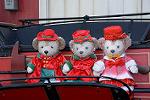 Dcim12856/DSC_0215