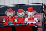 Dcim12856/DSC_0216