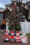 Dcim12857/DSC_0262