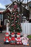Dcim12857/DSC_0263