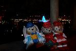 Dcim12858/DSC_0461