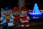 Dcim12858/DSC_0465